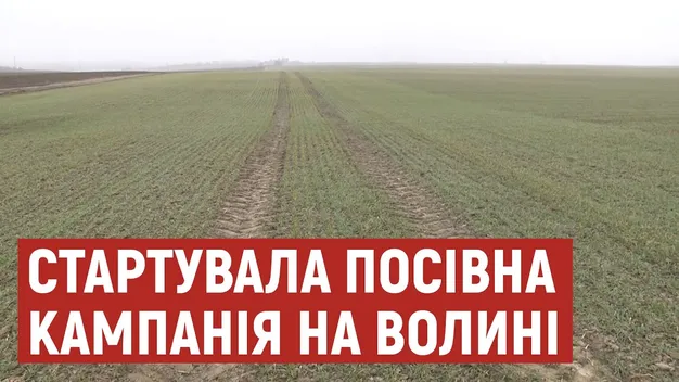 Посівна: що і скільки вирощуватимуть на Волині цьогоріч