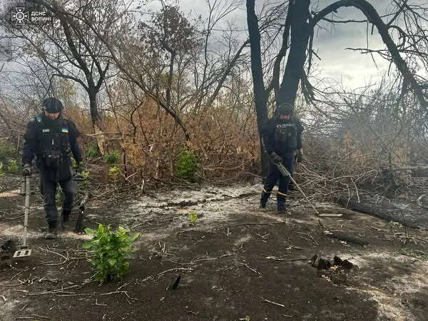 Волинські сапери розміновують поля і ліси на Сході України (фото)