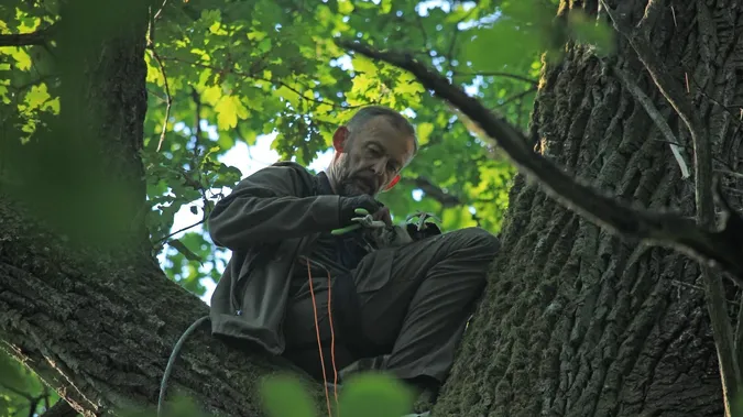 На Волині рідкісному лелеці встановили «маячок»: тепер за ним стежитимуть із космосу (фото)