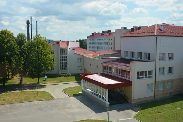 У Волинському центрі материнства та дитинства завершують оновлення двох відділень (фото)