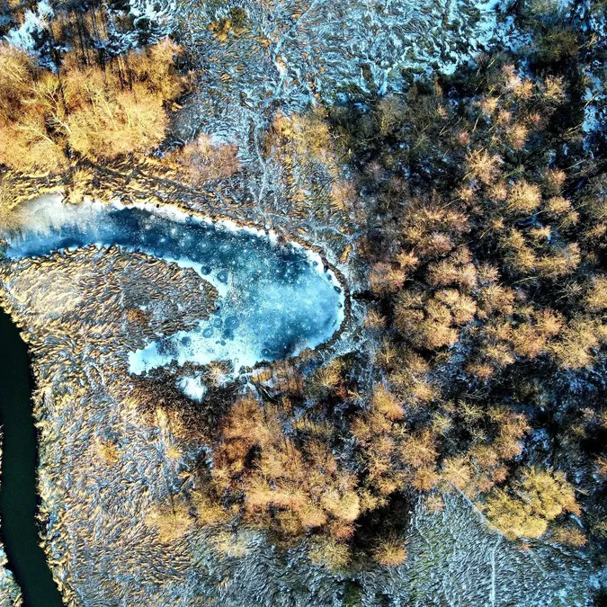 Зачарована Чорногузка: річка біля Луцька з висоти пташиного лету (фото)