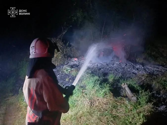 7 пожеж за добу: на Волині вогонь охопив понад 2 гектари сухостою (фото)