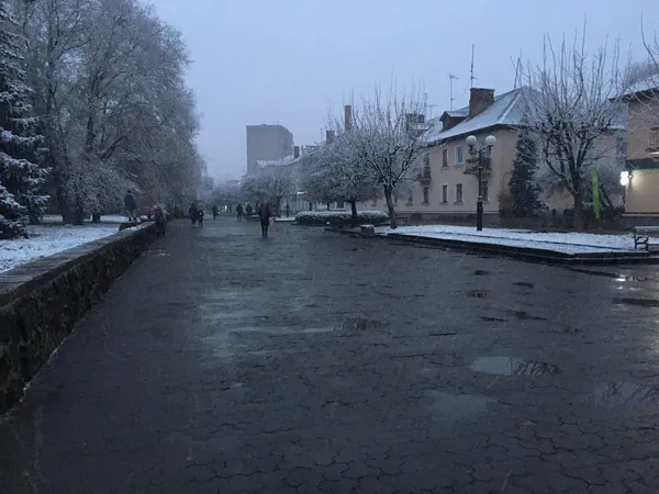 Перший сніговик та мерзлі троянди: на Волині випав сніг (фото)