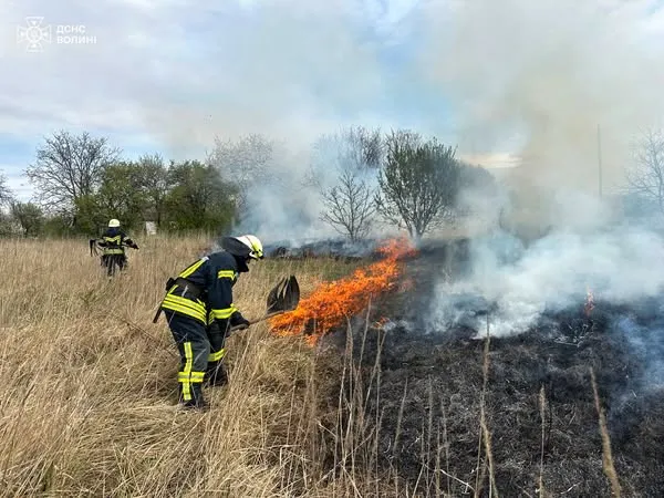 Підпал, замикання, необережність: на Волині загасили шість пожеж (фото)