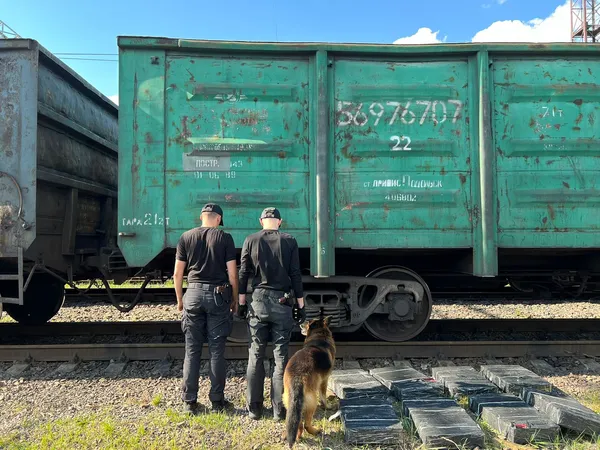 На Волині прикордонники знайшли контрабандне куриво у товарних вагонах (фото)