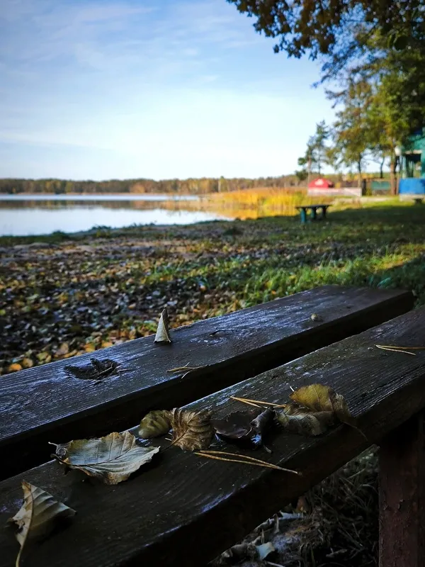 Осінній спокій озера Пісочне у Ковельському районі (фото)