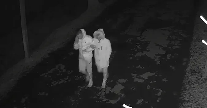 Хвилинка «слави»: вандалів, які потрощили кликунів у Луцьку, зафіксували камери (відео)