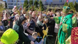 Як у луцькому соборі освячували вербу (фото)