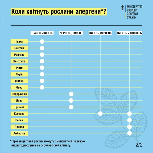 Сезон алергій розпочато: як допомогти собі в період цвітіння трав та дерев