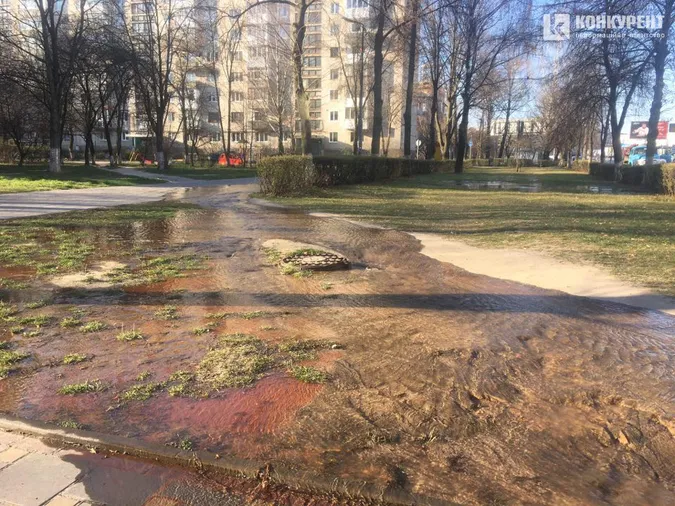На Собороності у Луцьку б’є «фонтан»: водою заливає тротуар (фото, відео)