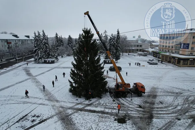🎄 У Володимирі встановили головну ялинку міста (фото)