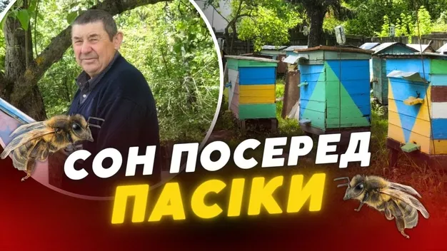 Цілющий сон на вуликах: пасічник з Волині облаштував унікальну бджолину хатку (відео)