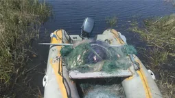 На Волині вилучили понад 100 рибальських сіток на одному озері (ФОТО, ВІДЕО)