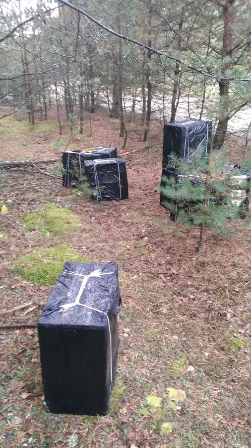 У лісі на Волині знайшли 16 ящиків сигарет (фото)