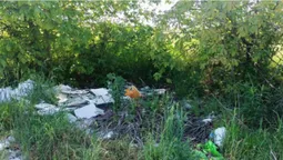 На околицях Луцька розвели стихійні сміттєзвалища (фото)