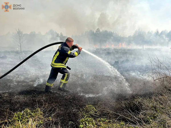 На Волині другу добу палає велике торфовище (фото)