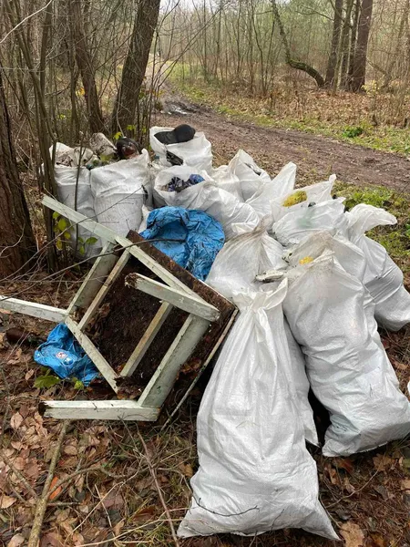 З лісу на Волині вивезли 8 величезних причепів сміття (фото)