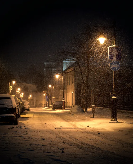 Світло ліхтарів і сяяння сніжинок: нічний снігопад у Луцьку (фото)