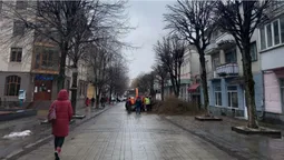У центрі Луцька кронують дерева (фото)