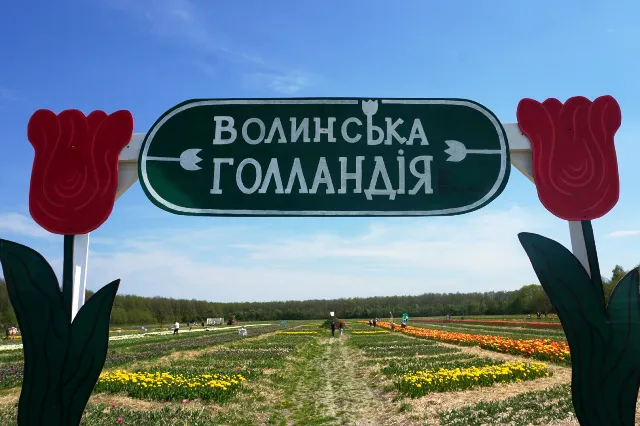 Відкриття фестивалю «Волинська Голландія»: чим дивують гостей (багато фото)