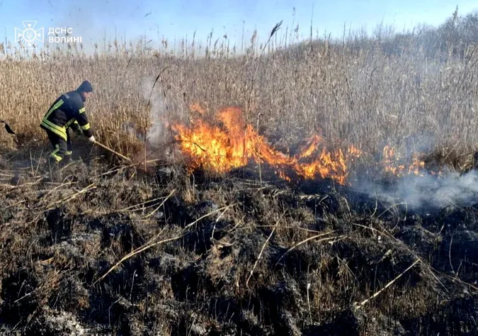 На Волині – масштабні пожежі в екосистемах: в чому причина (фото)