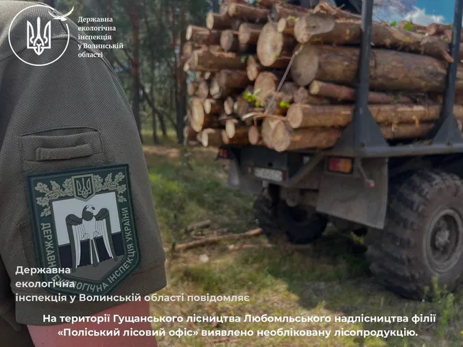 На Любомльщині серед лісу помітили 70 м³ «лівої» деревини (фото)