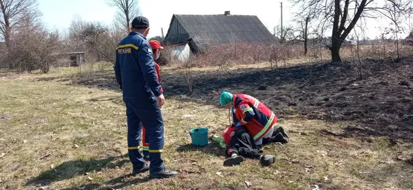 Знепритомніла від диму: на Волині рятували жінку, яка спалювала траву (фото, відео)