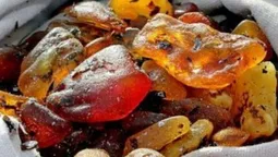 На кордоні з Польщею вилучили близько 20 кілограмів бурштину (відео)