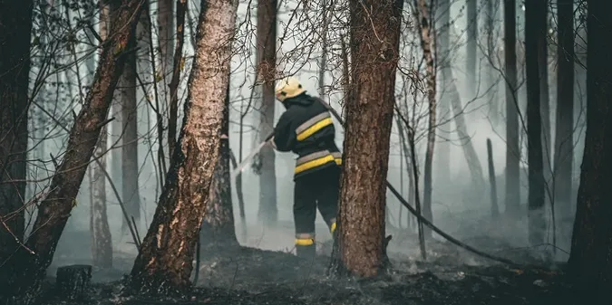 У Луцькому районі до ночі гасили лісову пожежу (фото)