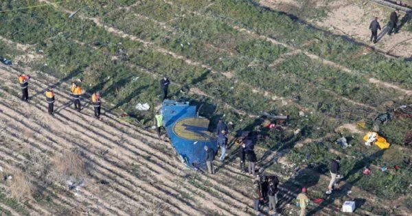 У МАУ запевнили, що літак не змінював курс