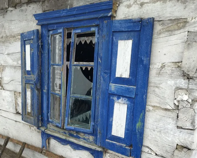 На Волині в пенсіонерки поцупили бензопилу