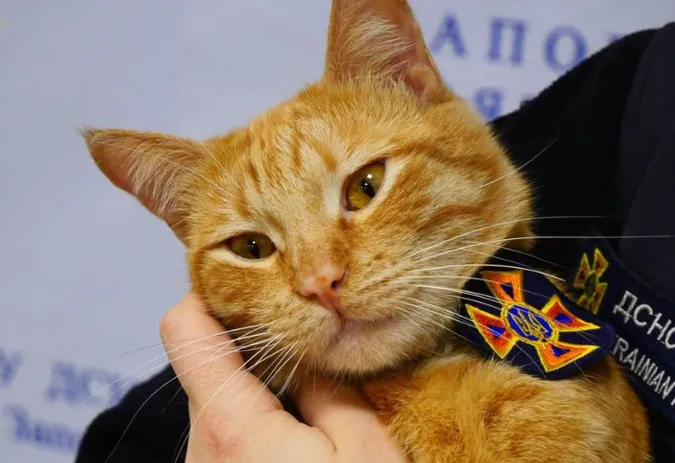 Головне у Луцьку: ТОП новин вівторка, 28 червня