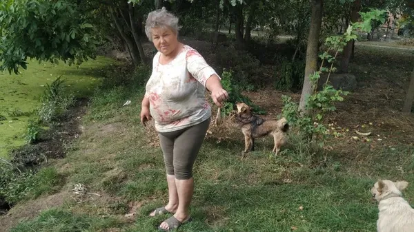 Екоінспектори обстежили ставок у Луцьку, в якому загинула риба (відео)