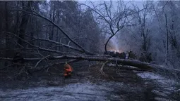 На Ковельщині негода повалила на дорогу дерева (фото)