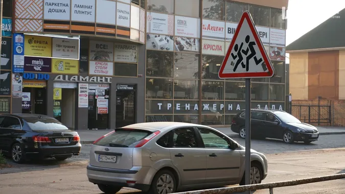 Квіти, песики, каштани: Дубнівська у Луцьку восени (фото)