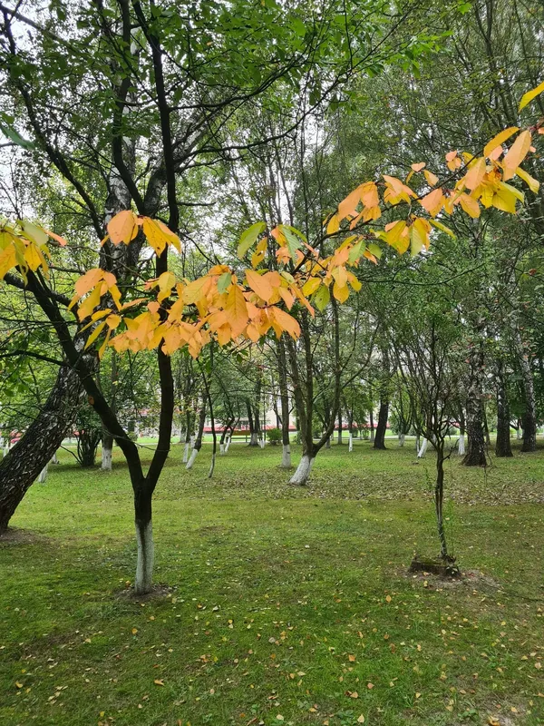Луцьк у вихідний під теплим осіннім небом (фото)