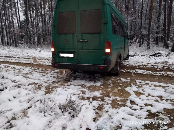 На Волині лісівники зловили першого «новорічного» порушника (фото)