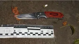 Ніж пройшов за 2 міліметри від серця: родичі шукають свідків нападу у Луцьку