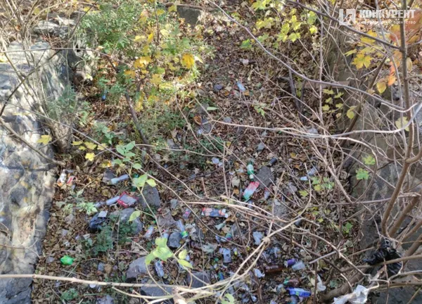 Без пияків, пляшок та шприців: як може змінитись частина берегу Сапалаївки (фото)