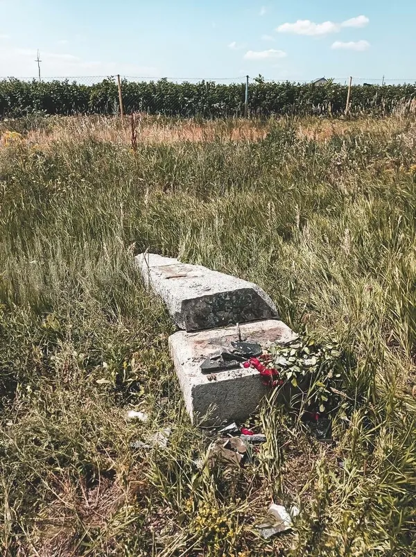 ОПЗЖ відновила пам'ятник дружби України і Росії, проте його одразу знесли